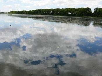 Fotografia de mixermago - Galeria Fotografica: mxm2 - Foto: imagen6