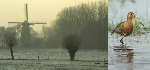 Fotografia de juan manuell - Galeria Fotografica: juan 35 - Foto: ::::JUAN::::