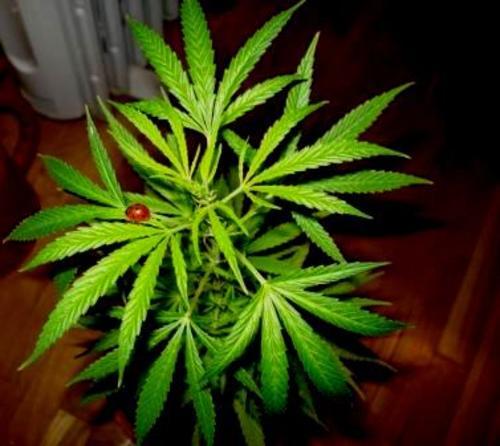 Fotografia de juan manuell - Galeria Fotografica: juan 35 - Foto: 