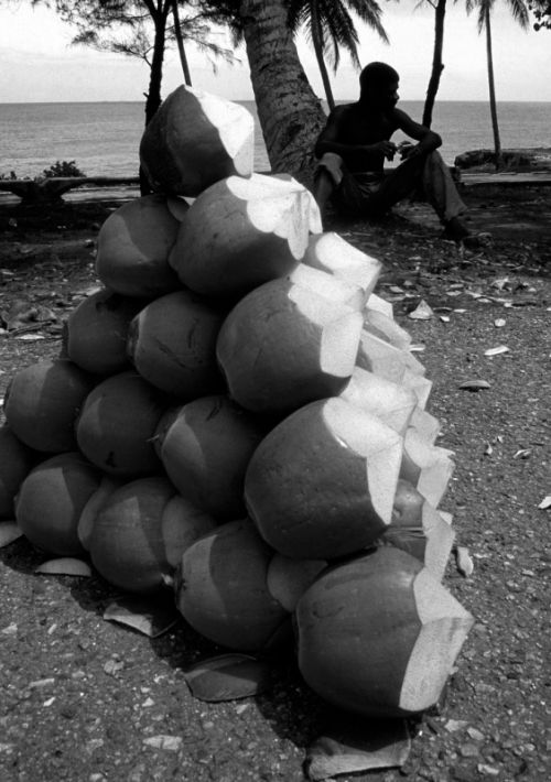 Fotografia de Pedro Guzmn - Galeria Fotografica: Paisaje rural, Finca arrocera - Foto: El coquero