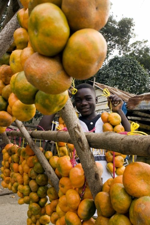 Fotografia de Pedro Guzmn - Galeria Fotografica: Paisaje rural, Finca arrocera - Foto: Vendedor de Mandarinas