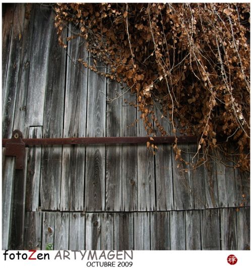 Fotografia de Juan Carlos del Rio - Galeria Fotografica: Album de Instantes - Foto: 