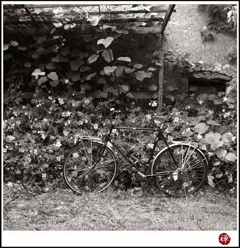 Fotografia de Juan Carlos del Rio - Galeria Fotografica: Album de Instantes - Foto: 