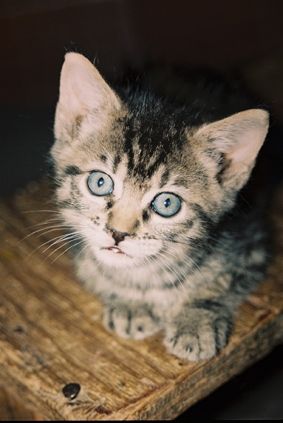 Fotografia de agustin cristobal - Galeria Fotografica: entre cultura y paseos - Foto: 