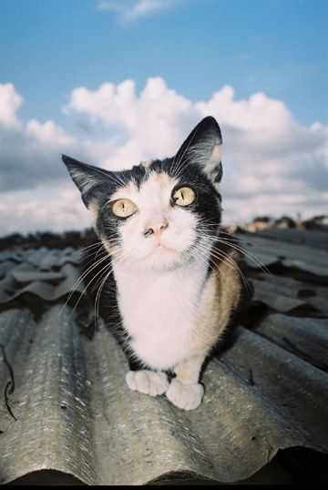 Fotografia de agustin cristobal - Galeria Fotografica: entre cultura y paseos - Foto: 