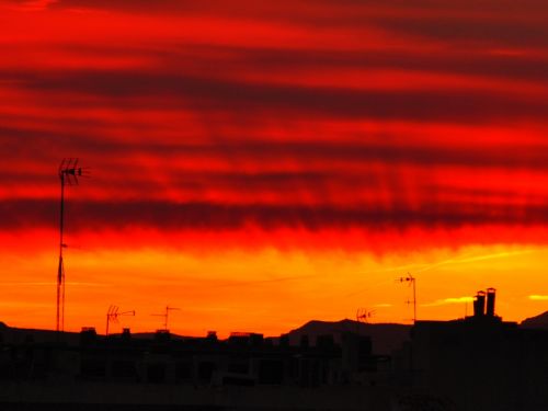 Fotografia de Twistx77 - Galeria Fotografica: Mis pequeos pinitos - Foto: 