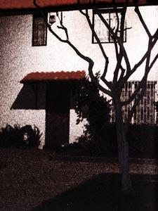 Fotografia de Sirbertija - Galeria Fotografica: Fotografa Fotogenia - Foto: Burdeo vs Negro