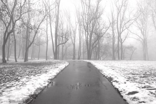 Fotografia de Gustavo Hochman - Galeria Fotografica: Monocromo - Foto: 