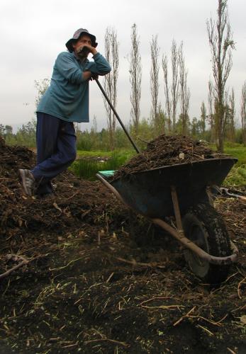 Fotografia de jorge bourges - Galeria Fotografica: de todo un poco - Foto: 