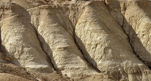 Fotografia de Gustavo Hochman - Galeria Fotografica: Naturaleza - Foto: 