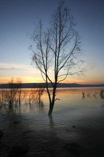 Fotografia de Gustavo Hochman - Galeria Fotografica: Naturaleza - Foto: 