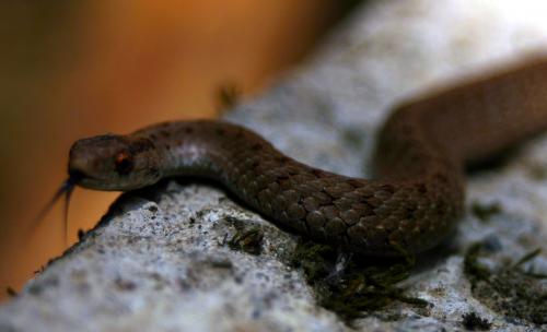 Fotografia de jorge bourges - Galeria Fotografica: de todo un poco - Foto: 