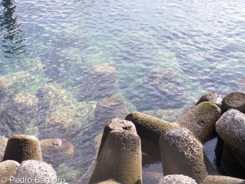 Fotografia de Pedro Barbero - Galeria Fotografica: Seleccin primeros das - Foto: 