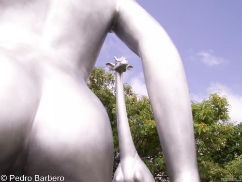 Fotografia de Pedro Barbero - Galeria Fotografica: Seleccin primeros das - Foto: 