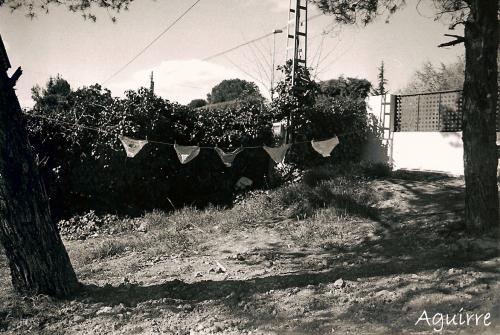 Fotografia de alma - Galeria Fotografica: blancoynegro - Foto: intimidades