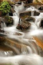 Fotografia de juan manuell - Galeria Fotografica: JUAN - Foto: 