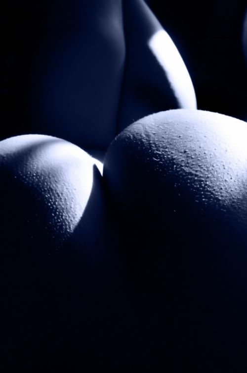 Fotografia de tuty - Galeria Fotografica: TUTY - Foto: 