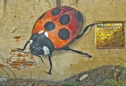 Fotografia de MILLO - Galeria Fotografica: INCLASIFICABLES - Foto: ARTE URBANO