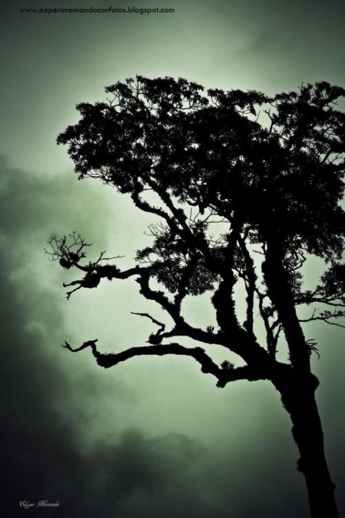 Fotografia de experimentalphotos - Galeria Fotografica: generales - Foto: 