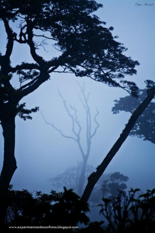 Fotografia de experimentalphotos - Galeria Fotografica: generales - Foto: 