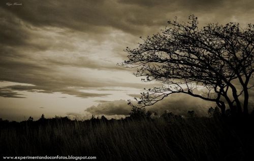 Fotografia de experimentalphotos - Galeria Fotografica: generales - Foto: 