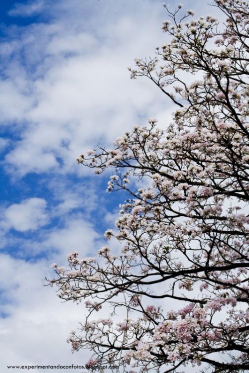 Fotografia de experimentalphotos - Galeria Fotografica: generales - Foto: 