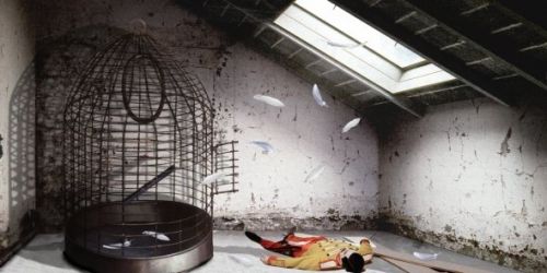 Fotografia de camara oscura galeria de arte - Galeria Fotografica: Espacios Privados_Alfonso Brezmes - Foto: Ave de paso, serie 