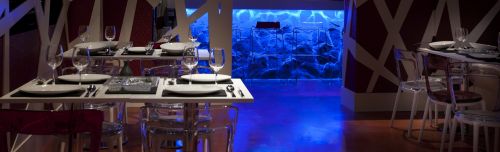 Fotografia de fyniesta - Galeria Fotografica: fotogaleria fyniesta - Foto: 