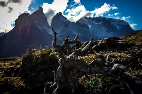 Fotografia de By3nz - Galeria Fotografica: Patagonia Chilena - Foto: Circuito Visual