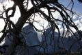 Foto de  By3nz - Galería: Patagonia Chilena - Fotografía: Vegetacion Nativa