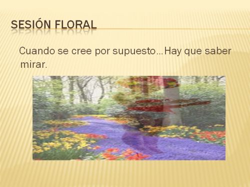 Fotografia de makesangels - Galeria Fotografica: estilo floral - Foto: 