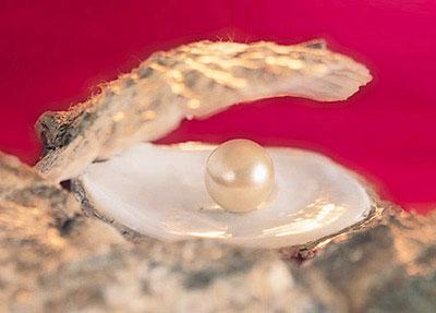 Fotografia de GC Estudio - Galeria Fotografica: Portfolio - Foto: Perla