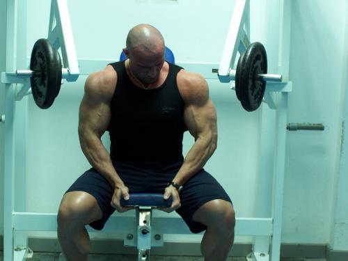 Fotografia de victor - Galeria Fotografica: culturismo - Foto: 