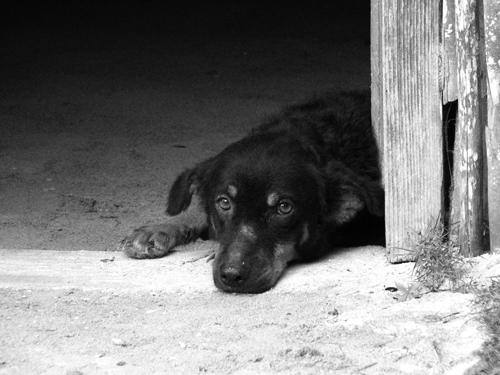 Fotografia de lucio - Galeria Fotografica: momentos - Foto: 