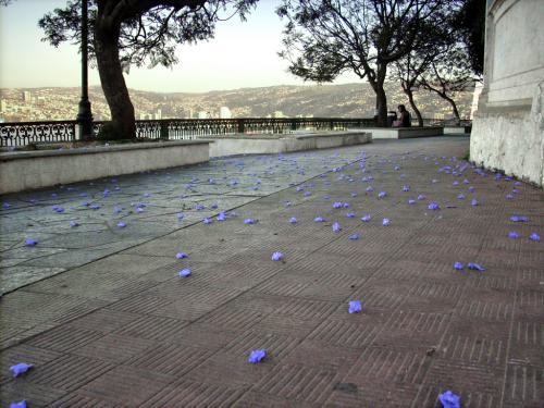 Fotografia de hanuman - Galeria Fotografica: valparaiso rincones - Foto: paseo 21 de mayo