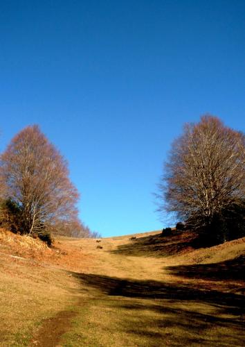 Fotografia de Sancli - Galeria Fotografica: Es Sent la Vida - Foto: 