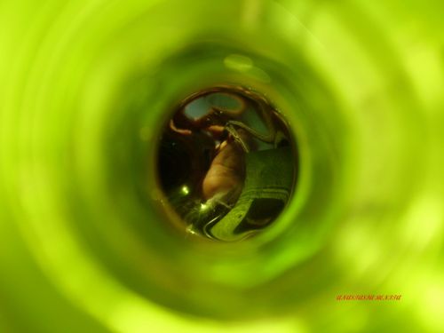 Fotografia de ANASTASIA BENITA - Galeria Fotografica: Naturaleza - Foto: 