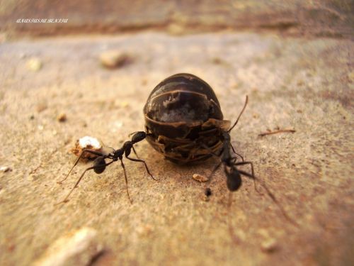Fotografia de ANASTASIA BENITA - Galeria Fotografica: Naturaleza - Foto: 