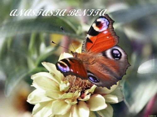 Fotografia de ANASTASIA BENITA - Galeria Fotografica: Naturaleza - Foto: 