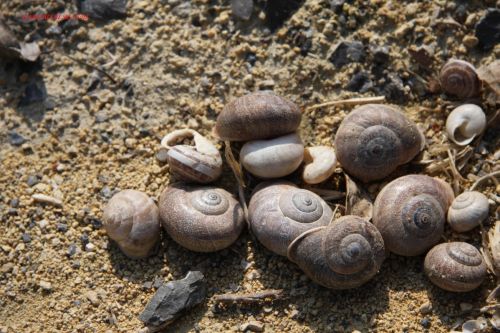 Fotografia de ANASTASIA BENITA - Galeria Fotografica: Artisticas - Foto: 