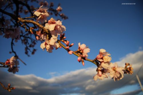 Fotografia de ANASTASIA BENITA - Galeria Fotografica: Paisajes - Foto: 