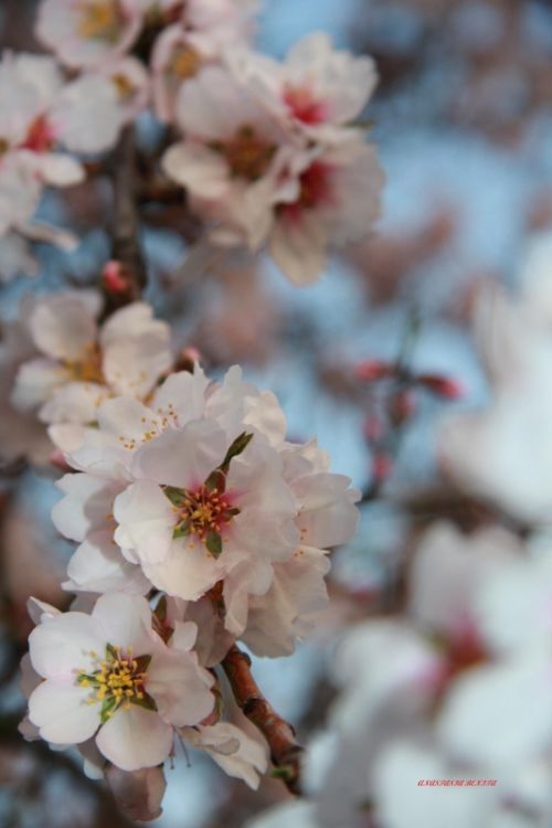 Fotografia de ANASTASIA BENITA - Galeria Fotografica: Paisajes - Foto: 