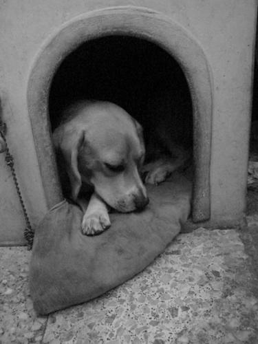 Fotografia de Jos Luis - Galeria Fotografica: Galera de Fotos : Jose Luis Escobar - Foto: 