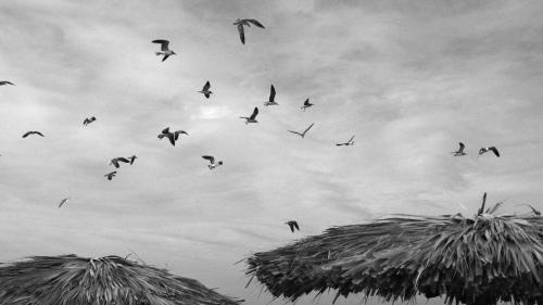 Fotografia de Jon Rodriguez - Galeria Fotografica: Mexico - Foto: 