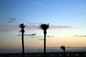 Fotografia de gelat - Galeria Fotografica: La fotografia que llevo en el corazon - Foto: Calma