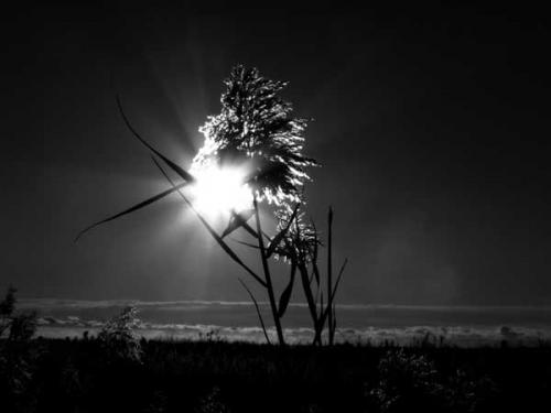 Fotografia de Mireia Canicio Ena - Galeria Fotografica: MONOCROMO - Foto: 