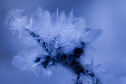 Fotografia de Gustavo - Galeria Fotografica: Naturaleza - Foto: Cristal de hielo