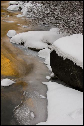 Fotografia de Gustavo - Galeria Fotografica: Naturaleza - Foto: Reflejos