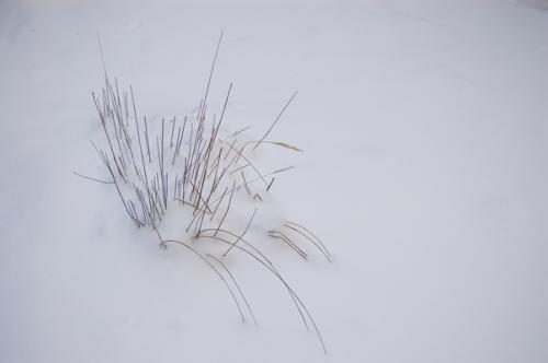 Fotografia de Gustavo - Galeria Fotografica: Naturaleza - Foto: Mar de nieve