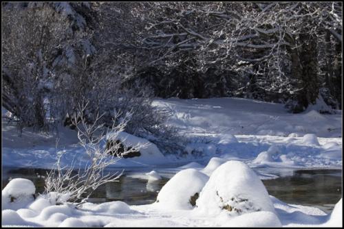 Fotografia de Gustavo - Galeria Fotografica: Naturaleza - Foto: Rio helado